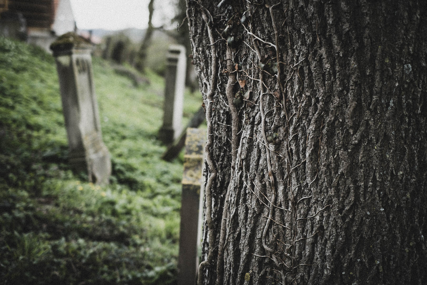 Borgholz, Jüdischer Friedhof